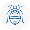 Bed Bug Extermination In Barton On Sea