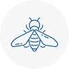 Bee Nest Removal Barton On Sea