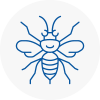 Barton On Sea Hornet Nest Removals