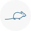 Mice Exterminators In Barton On Sea
