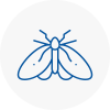 Moth Control Specialists In Barton On Sea