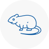 Rat Control Barton On Sea