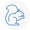 Barton On Sea Rodent Removals